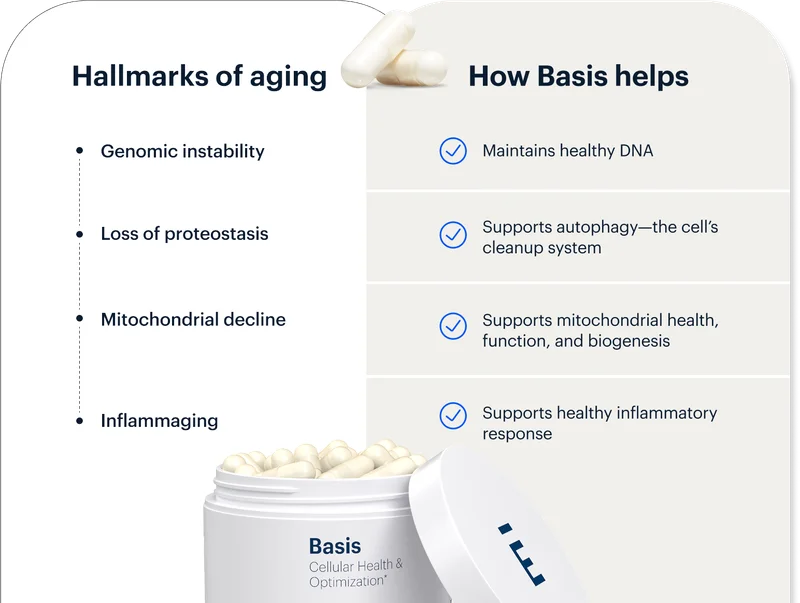Hallmarks of aging | How Basis helps