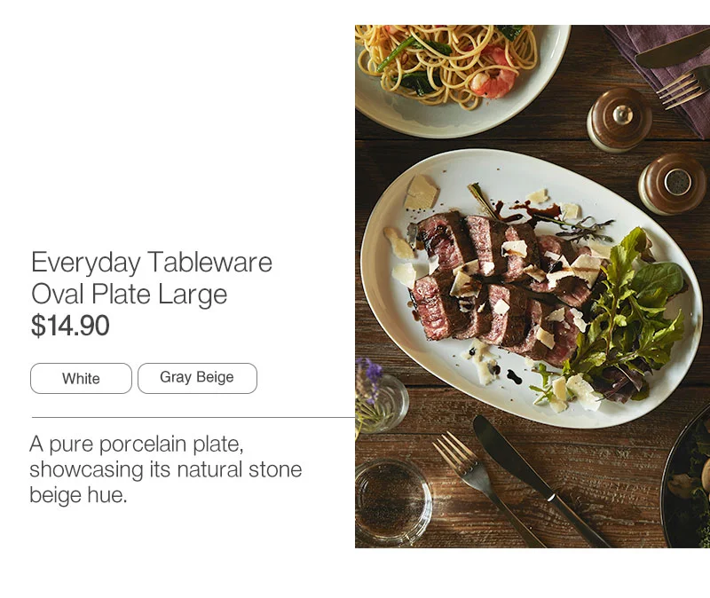 Shop Everyday Tableware Oval Plate Large