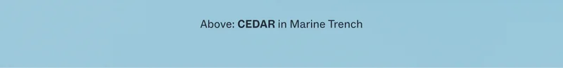 Cedar in Marine Trench