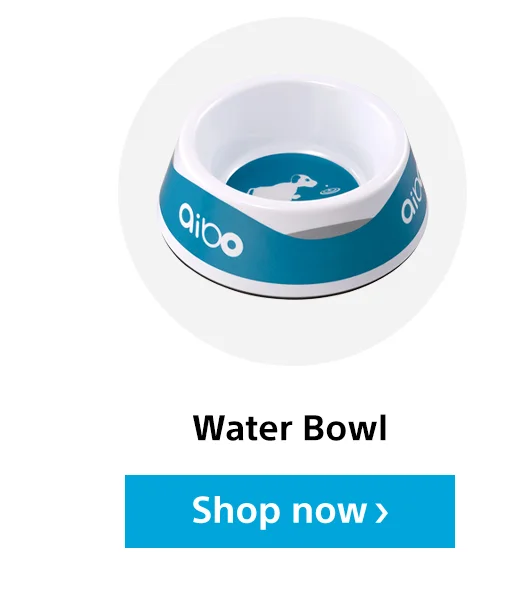Water Bowl | Shop now