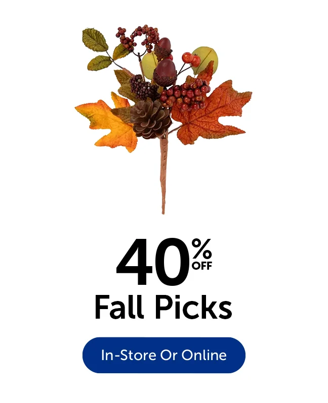40% Off Fall Picks