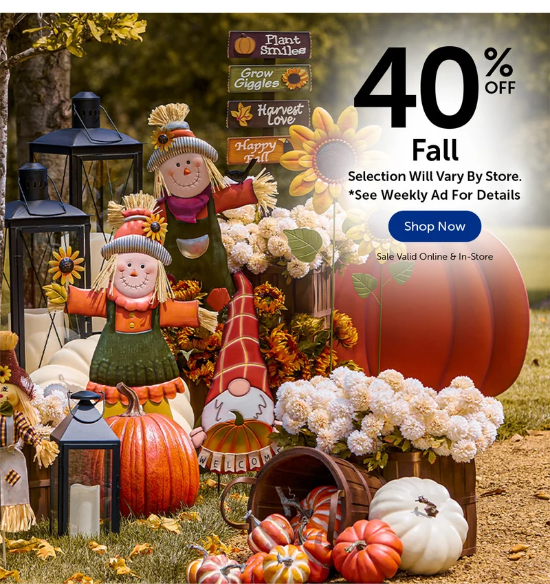 40% Off Fall