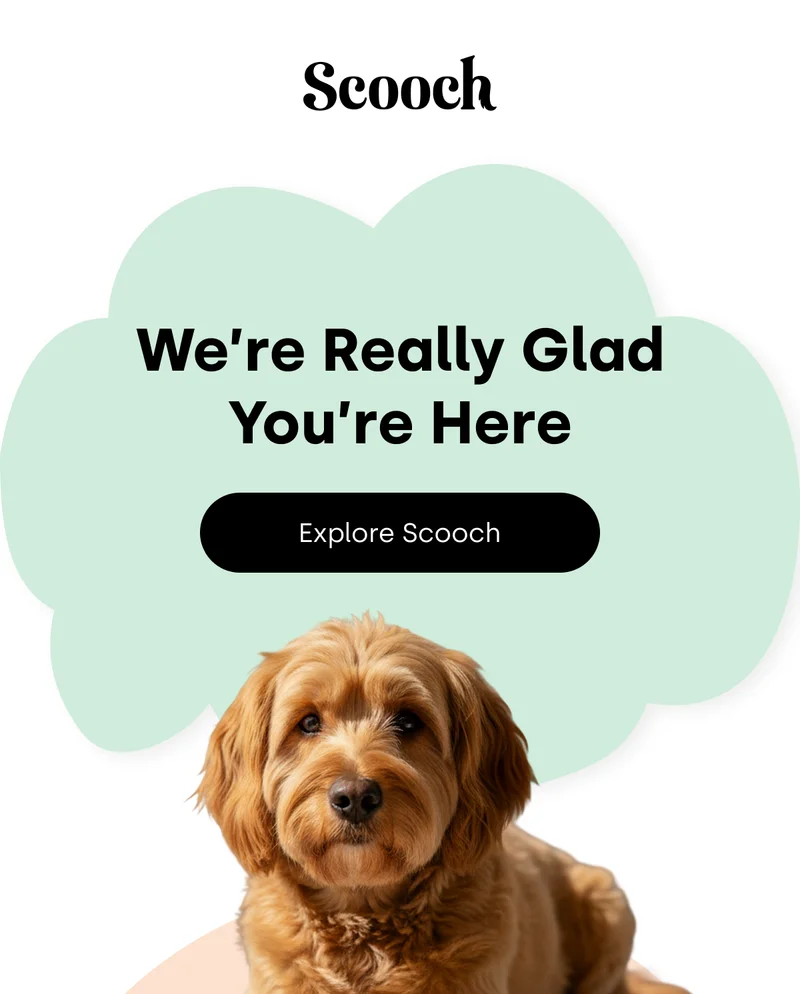 We're Really Glad You're Here