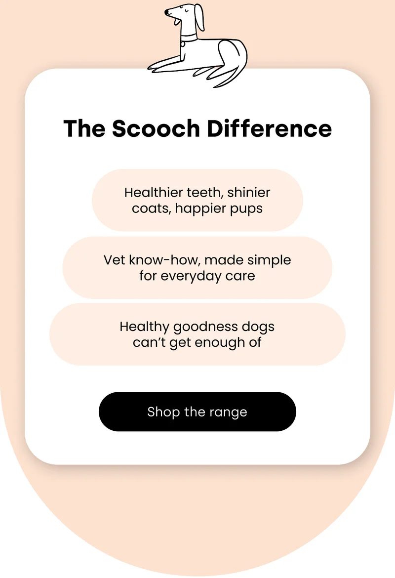 The Scooch Difference