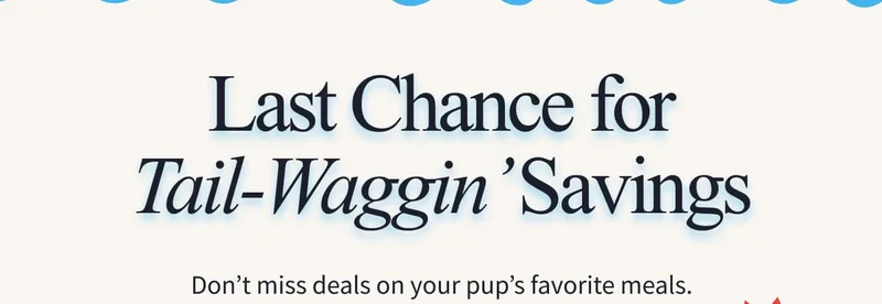 Last Chance for Tail-Waggin’ Savings | Don’t miss deals on your pup’s favorite meals.
