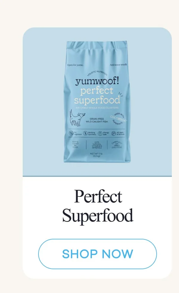 Perfect Superfood | shop now