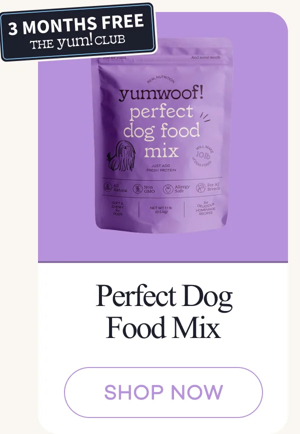 Perfect Dog Food Mix | shop now