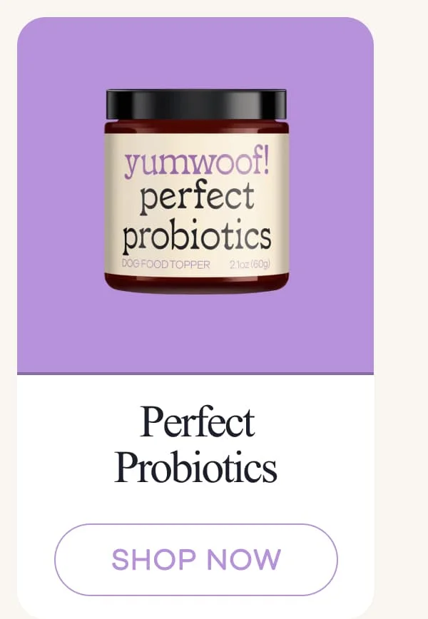 Perfect Probiotics | shop now