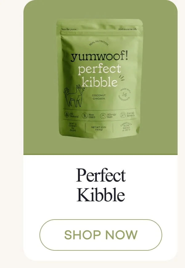 Perfect Kibble | shop now