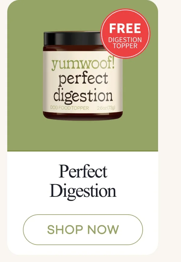 Perfect Digestion | shop now