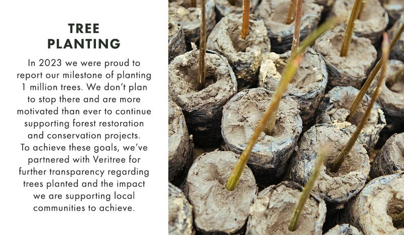 Tree Planting