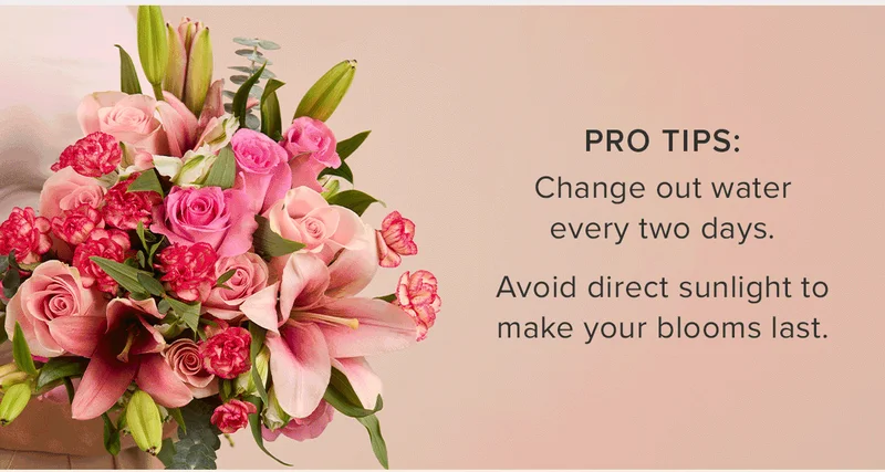 Pro Tips: Change out water every two days. Avoid direct sunlight to make your blooms last.