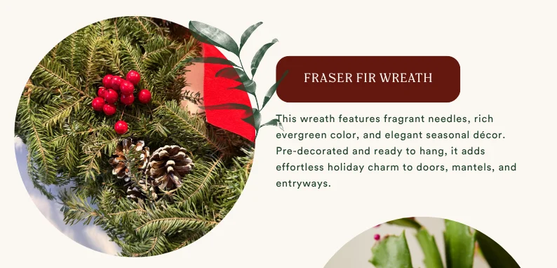 fraser fir wreath