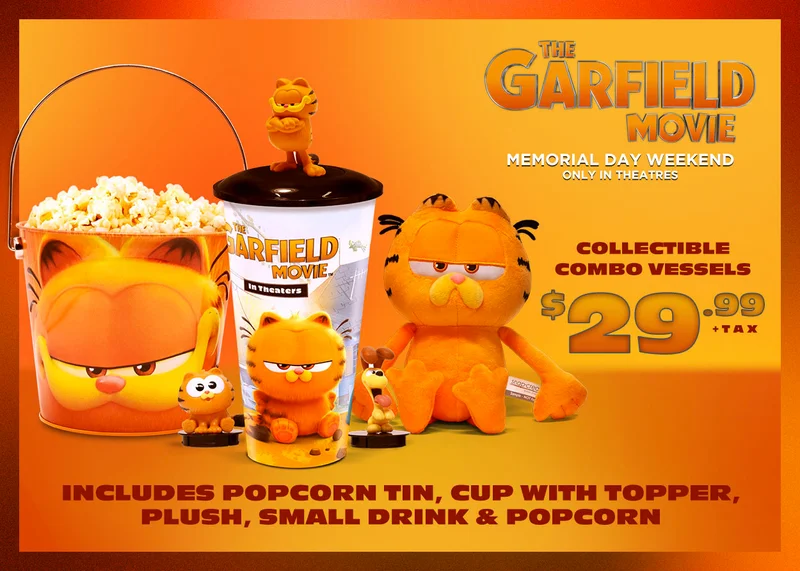 GARFIELD CCV