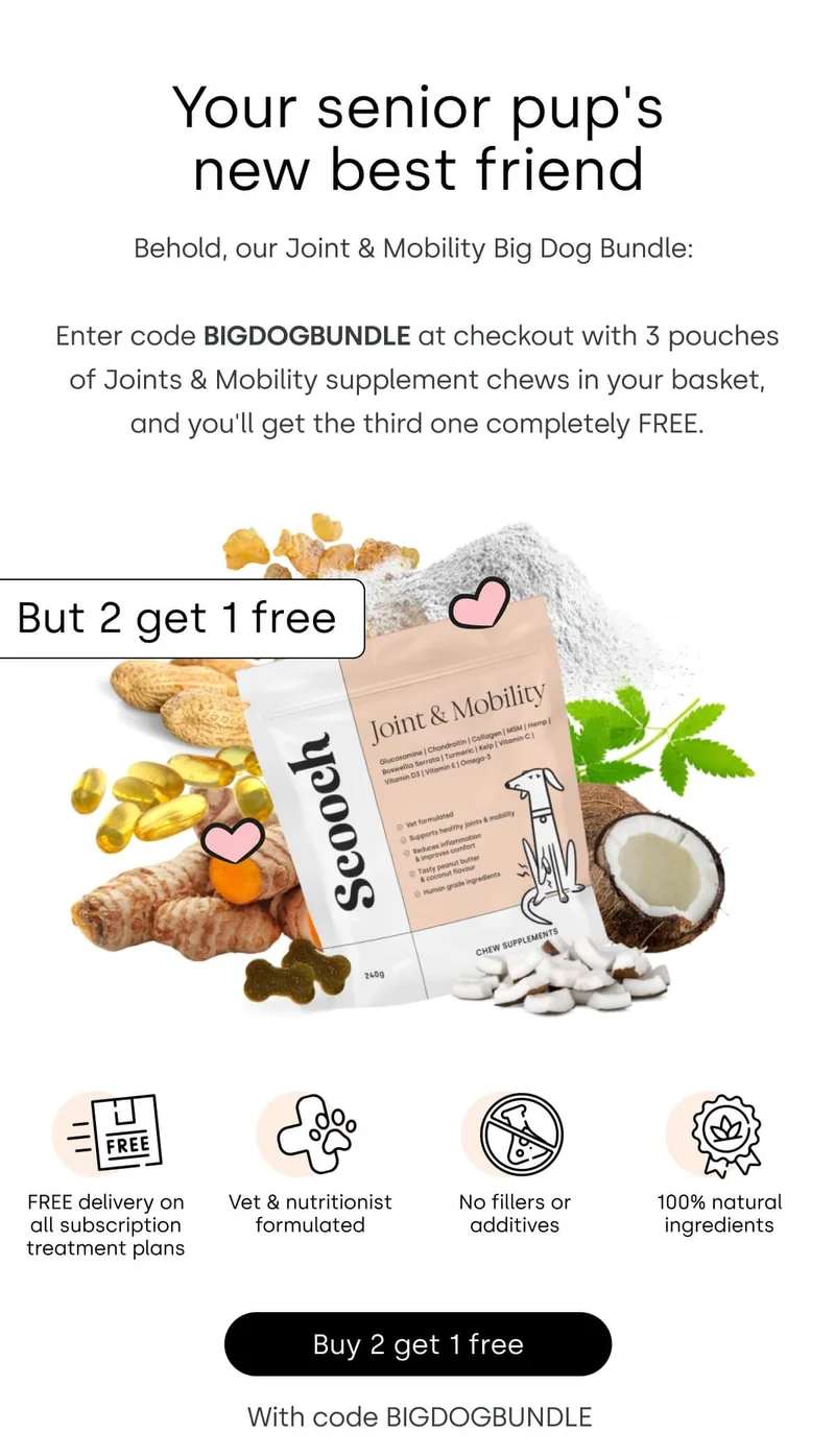 Your senior pup's new best friend. Behold, our Joint & Mobility Big Dog Bundle - Buy 2 get 1 free