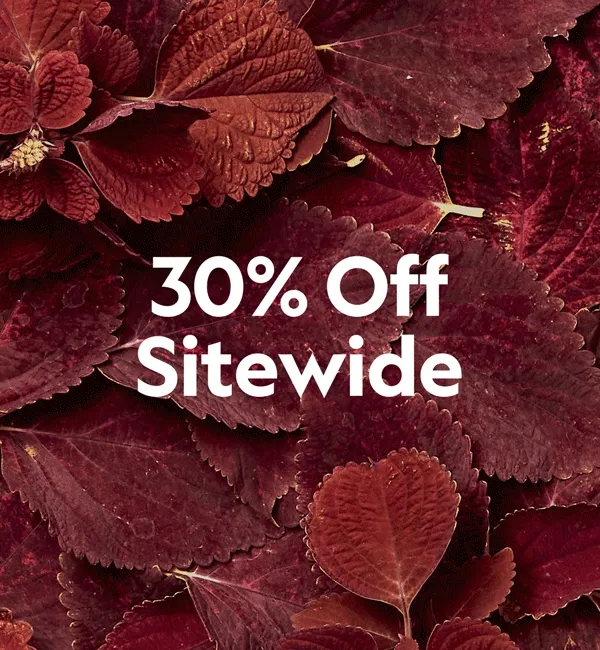 30% off sale
