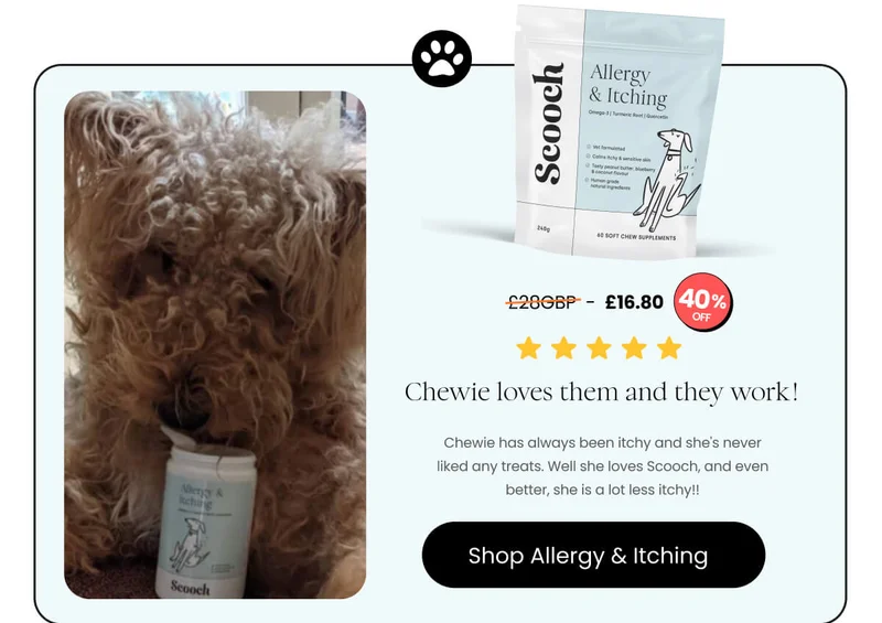 Allergy and Itching