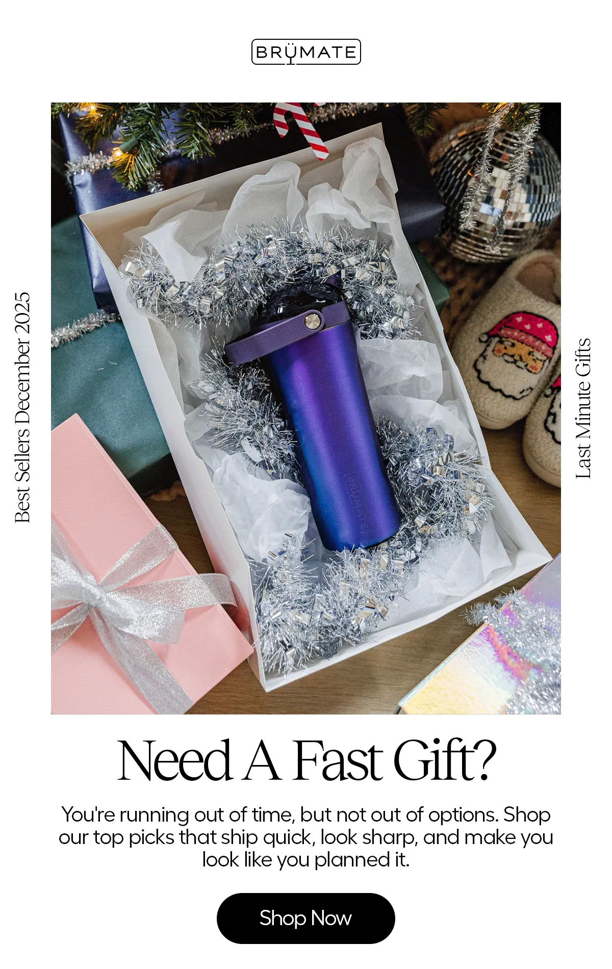 Best Sellers December 2025, Last Minute Gifts