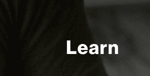 Learn