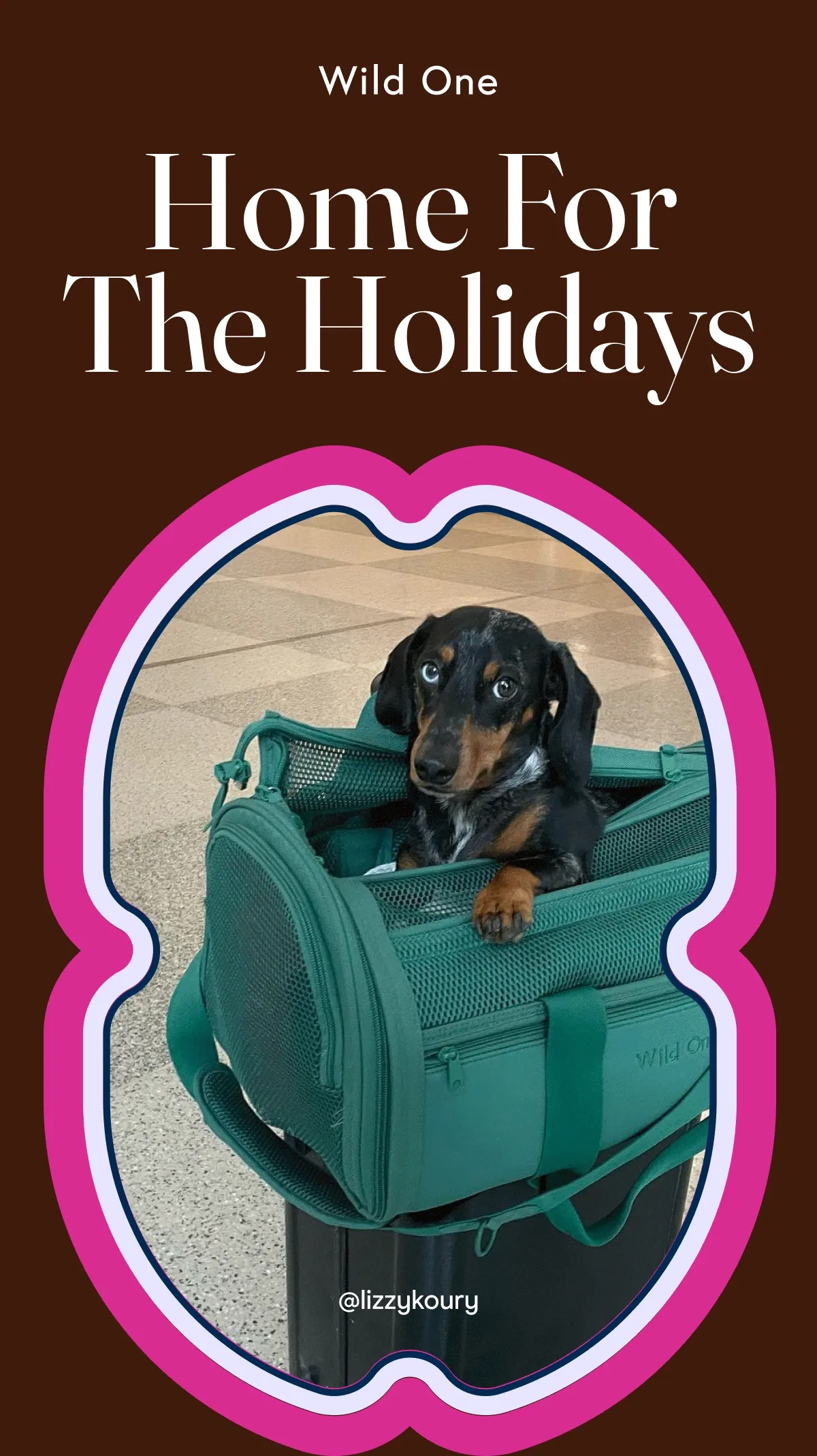 Home For the Holidays