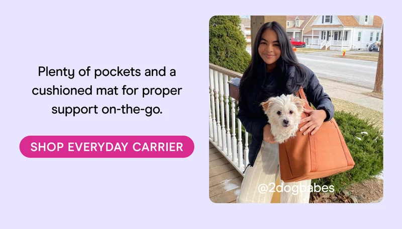 Plenty of pockets and a cushioned mat for proper support on-the-go. SHOP EVERYDAY CARRIER