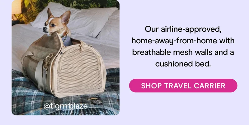 Our airline-approved, home-away-from-home with breathable mesh walls and a cushioned bed. SHOP TRAVEL CARRIER