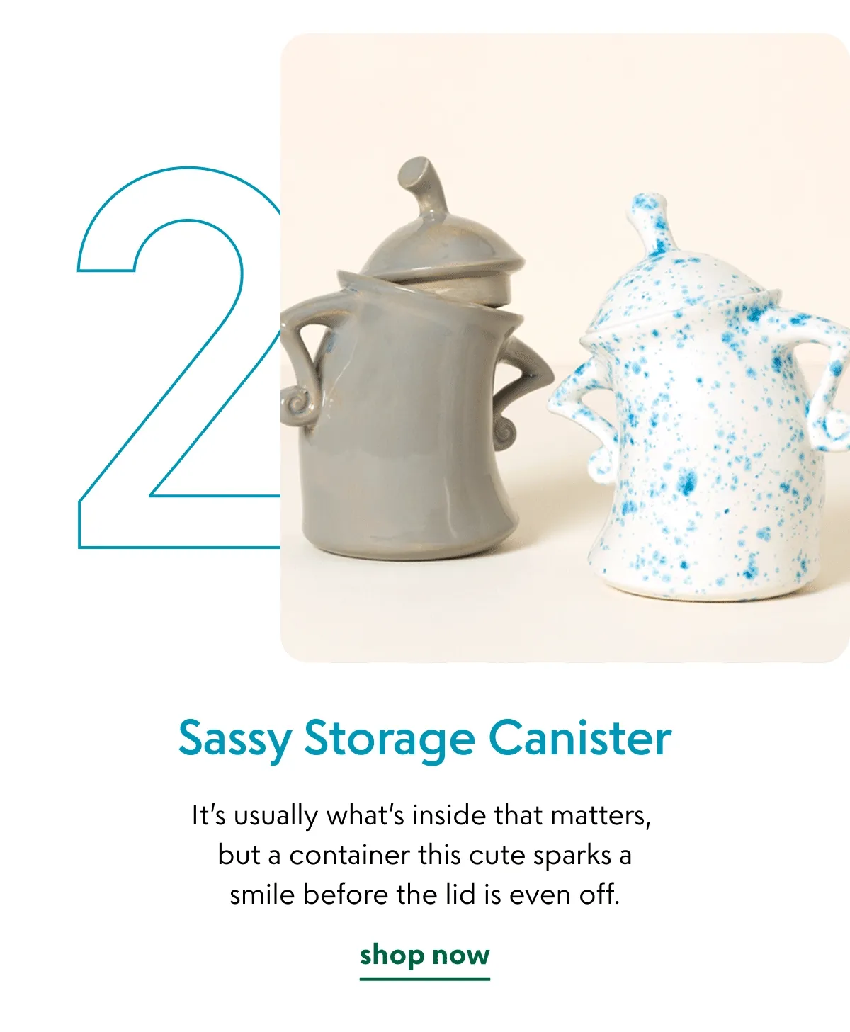 sassy-storage-canister