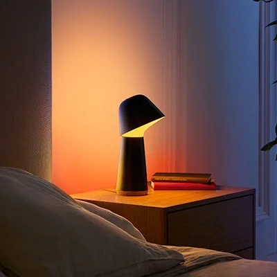 Twilight sleep and wake-up light