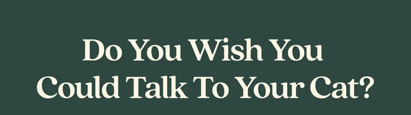 Do You Wish You  Could Talk to Your Cat?