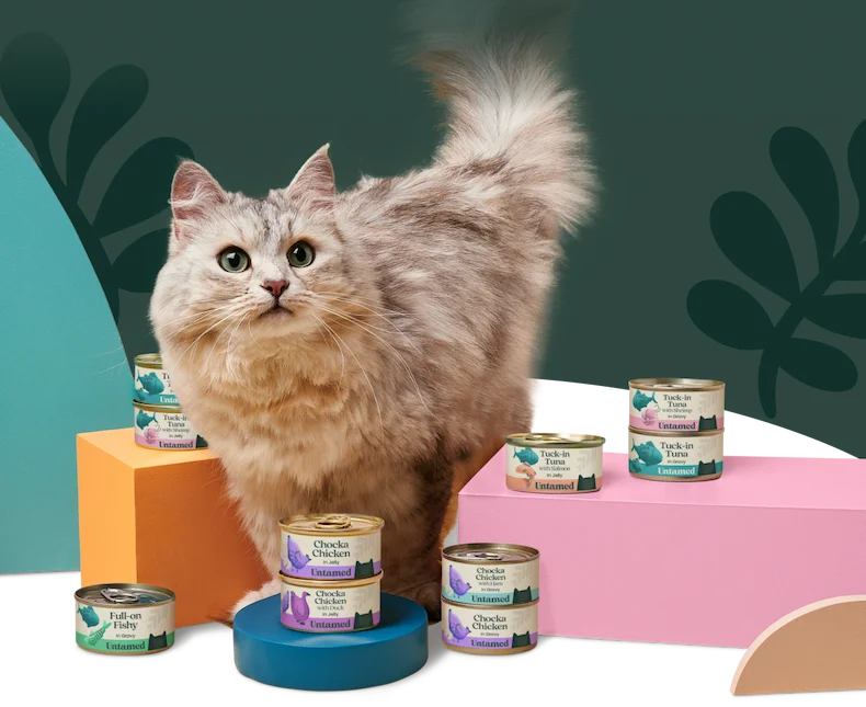 Do You Wish You  Could Talk to Your Cat?