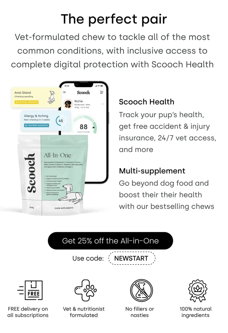The perfect pair - Scooch Health + Multi-supplement - Get 25% off the All-in-One