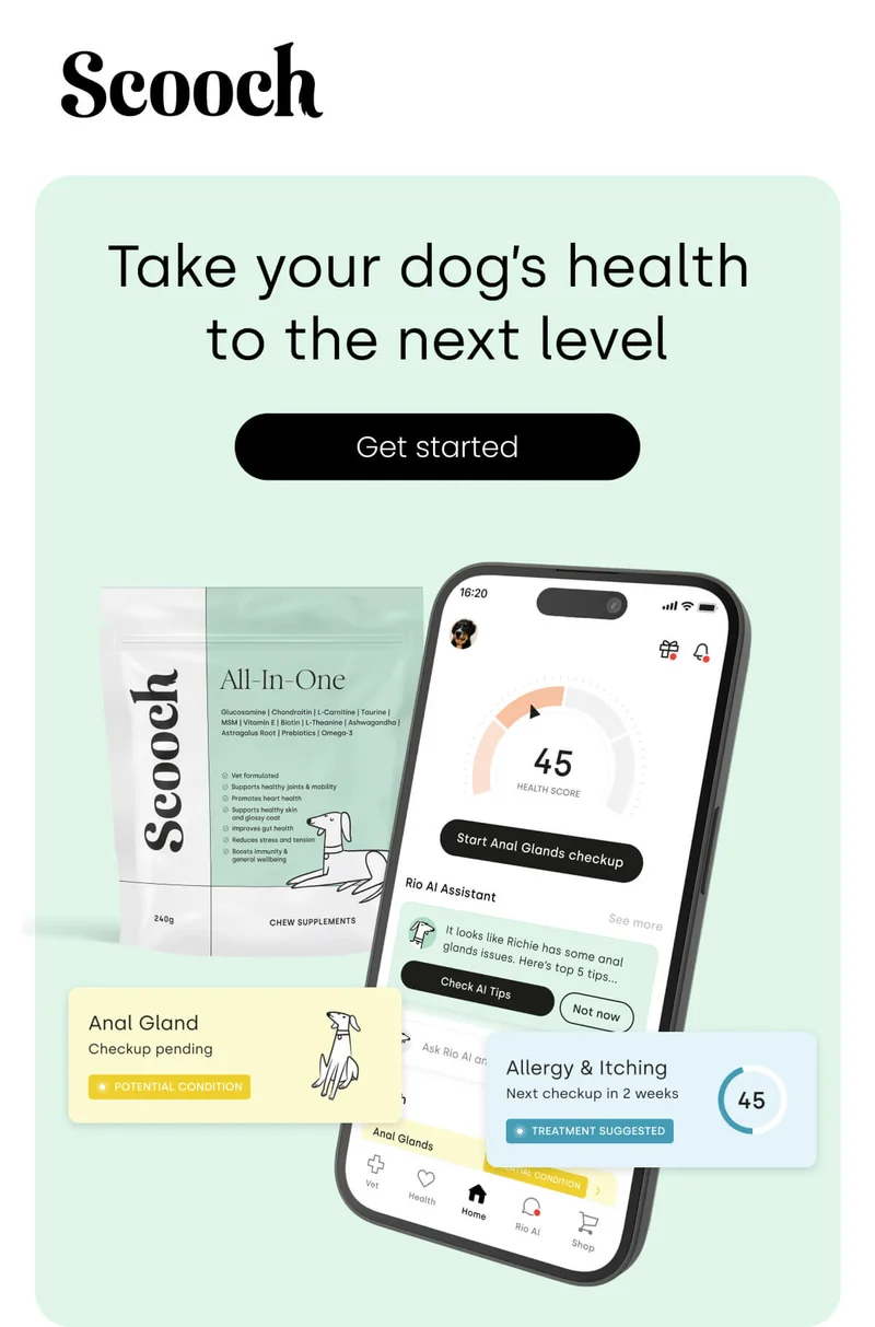 Take your dog’s health  to the next level - Get started