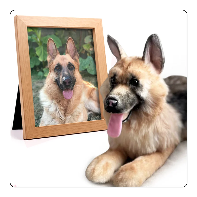 German Shepherd pet replica laying next to a photo frame showing the real pet