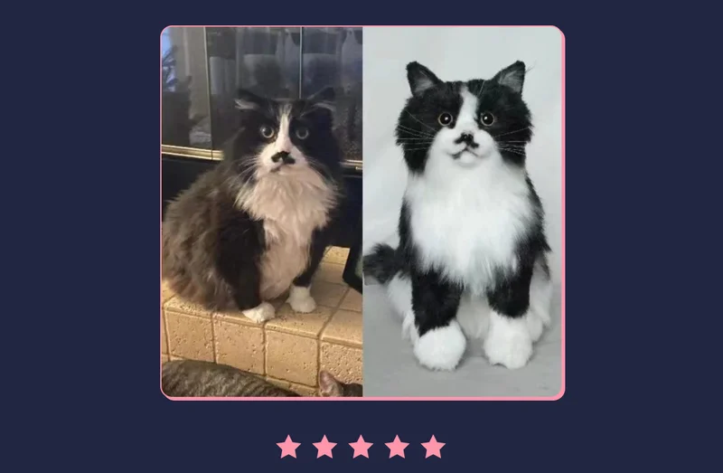 Customer photo of a tabby black and white cat stood next to his pet replica