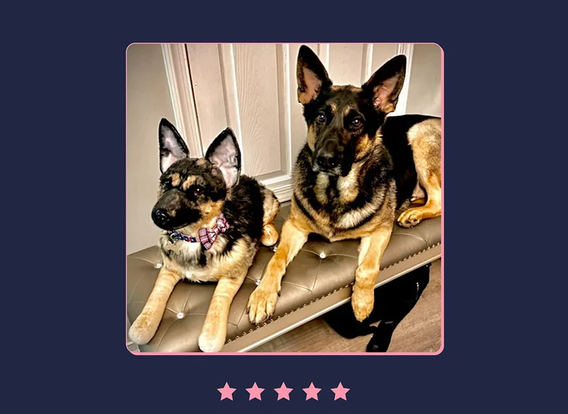 Customer photo of a German Shepherd laying next to his pet replica