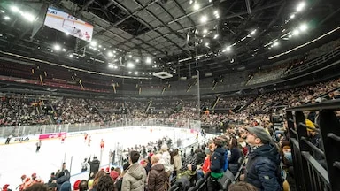 'OLI' returns to help viewers watch the 2026 Milan Cortina Olympics