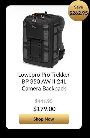 Lowepro Pro Trekker BP 350 AW II 24L Camera Backpack