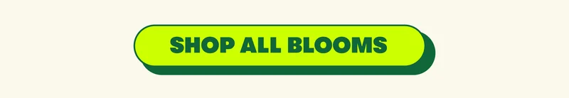 [SHOP ALL BLOOMS]