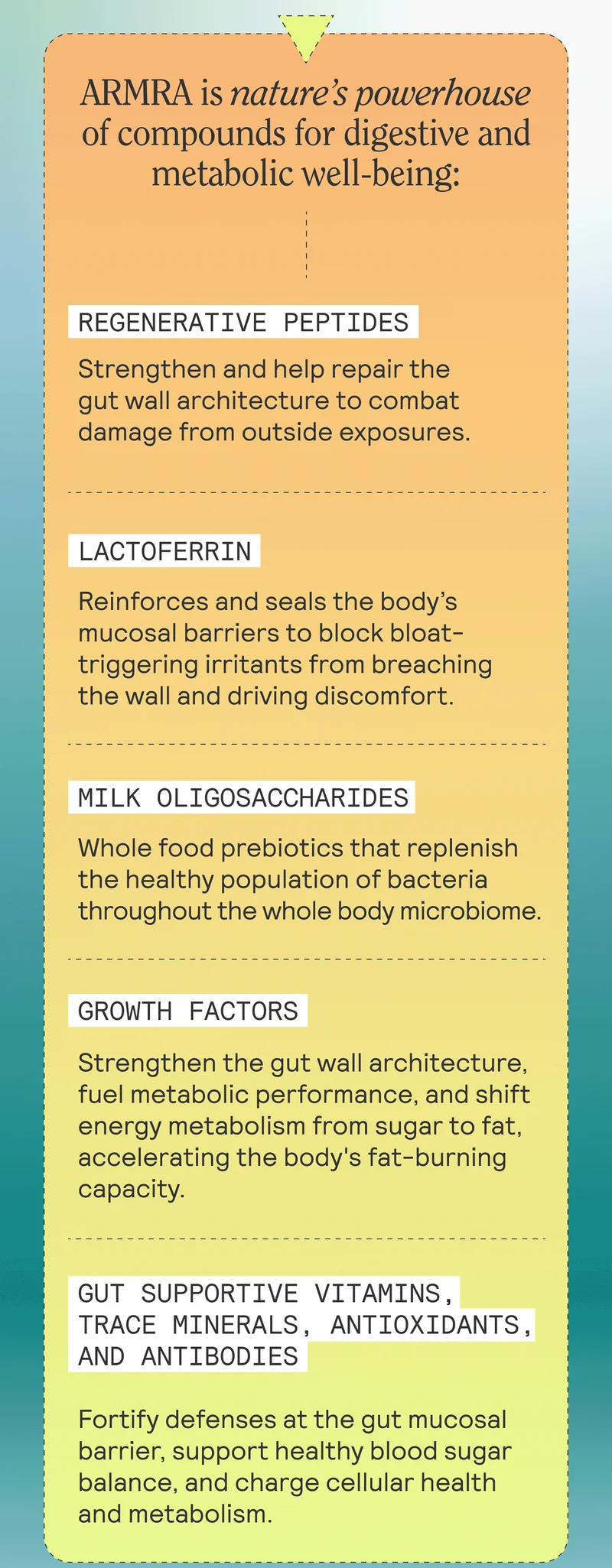 ARMRA is nature’s powerhouse of compounds for digestive and metabolic well-being:  REGENERATIVE PEPTIDES strengthen and repair the gut wall architecture to combat damage from outside exposures like gluten.  LACTOFERRIN reinforces and seals the body’s mucosal barriers to block bloat-triggering irritants from breaching the wall and driving discomfort.  MILK OLIGOSACCHARIDES are whole food prebiotics that replenish the healthy population of bacteria throughout the whole body microbiome.  GROWTH FACTORS strengthen the gut wall architecture, fuel metabolic performance, and shift energy metabolism from sugar to fat, accelerating the body's fat-burning capacity.  GUT SUPPORTIVE VITAMINS, TRACE MINERALS, ANTIOXIDANTS & ANTIBODIES fortify defenses at the gut mucosal barrier, support healthy blood sugar balance, and charge cellular health and metabolism.