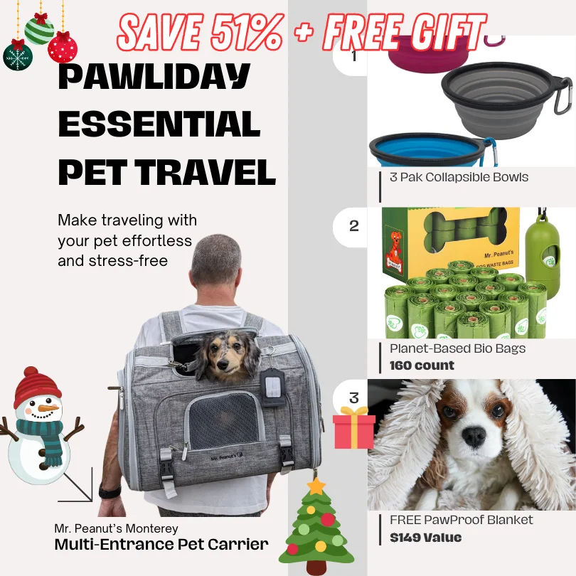 Pawliday Pet Travel Bundle