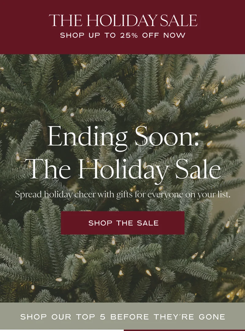 Shop The Sale