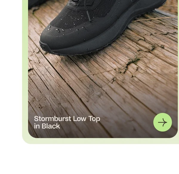 Stormburst Low Top In Black