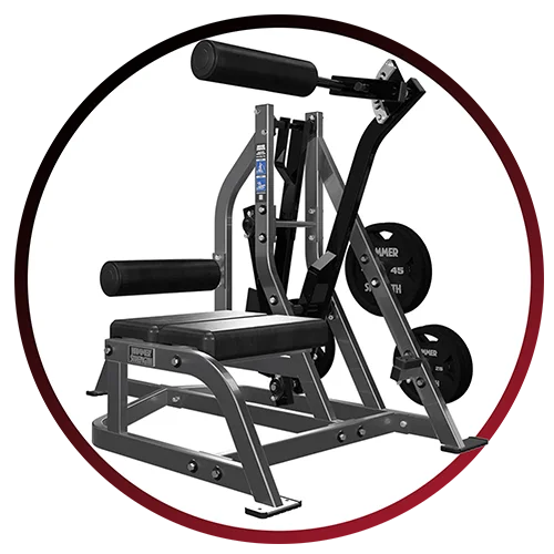 Hammer Strength Assisted Nordic Ham | Outlet Savings