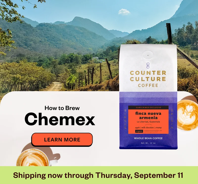 How to brew Chemex Learn More Shipping now through Thursday, September 11 How to brew Chemex Learn More Shipping now through Thursday, September 11