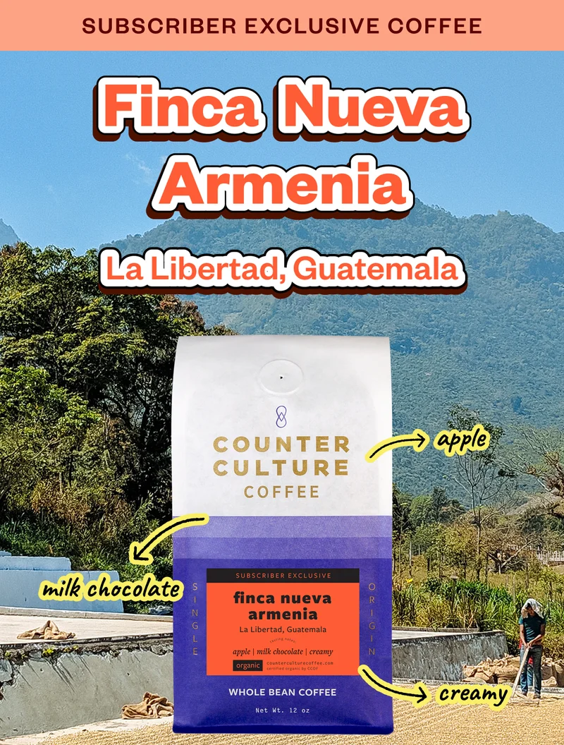 Subscriber Exclusive Finca Nueva Armenia| La Libertad, Guatemala Tasting Notes: apple | milk chocolate | cream Subscriber Exclusive Finca Nueva Armenia| La Libertad, Guatemala Tasting Notes: apple | milk chocolate | cream