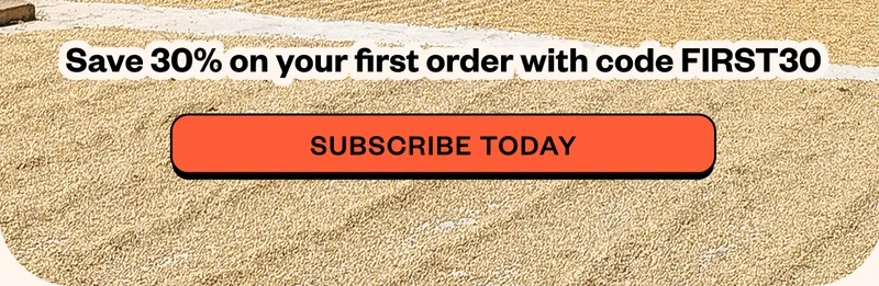 Save 30% on your first order with code FIRST30 Save 30% on your first order with code FIRST30