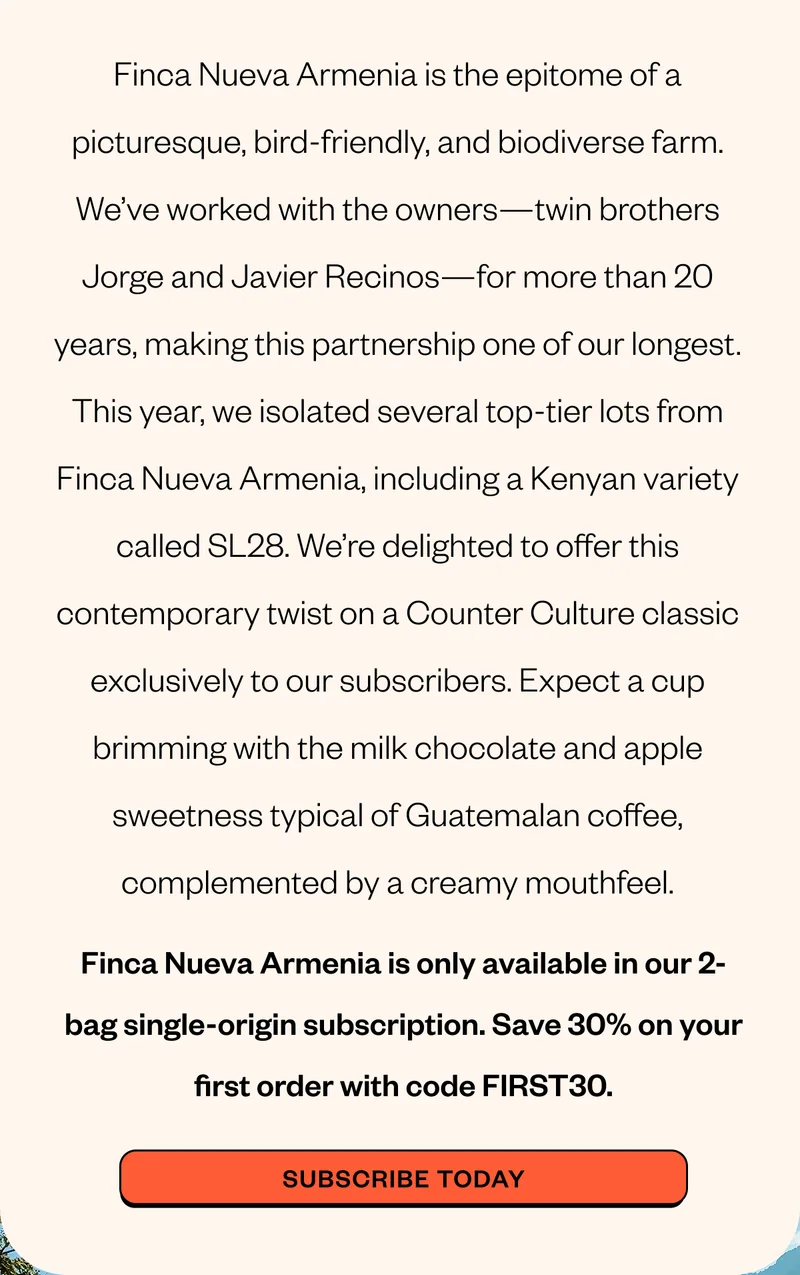 Finca Nueva Armenia is the epitome of a picturesque, bird-friendly, and biodiverse farm. We’ve worked with the owners––twin brothers Jorge and Javier Recinos––for more than 15 years, making this partnership one of our longest. This year, we isolated several top-tier lots from Finca Nueva Armenia, including a Kenyan variety called SL28. We’re delighted to offer this contemporary twist on a Counter Culture classic exclusively to our subscribers. Expect a cup brimming with the milk chocolate and apple sweetness typical of Guatemalan coffee, complemented by a creamy mouthfeel. Finca Nueva Armenia is only available in our 2-bag single-origin subscription. Save 30% on your first order with code FIRST30 Subscribe Today Finca Nueva Armenia is the epitome of a picturesque, bird-friendly, and biodiverse farm. We’ve worked with the owners––twin brothers Jorge and Javier Recinos––for more than 15 years, making this partnership one of our longest. This year, we isolated several top-tier lots from Finca Nueva Armenia, including a Kenyan variety called SL28. We’re delighted to offer this contemporary twist on a Counter Culture classic exclusively to our subscribers. Expect a cup brimming with the milk chocolate and apple sweetness typical of Guatemalan coffee, complemented by a creamy mouthfeel. Finca Nueva Armenia is only available in our 2-bag single-origin subscription. Save 30% on your first order with code FIRST30 Subscribe Today