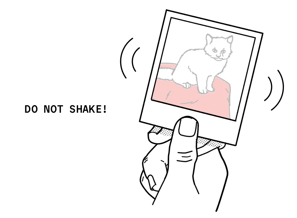 Man trying to take a photo of a cat