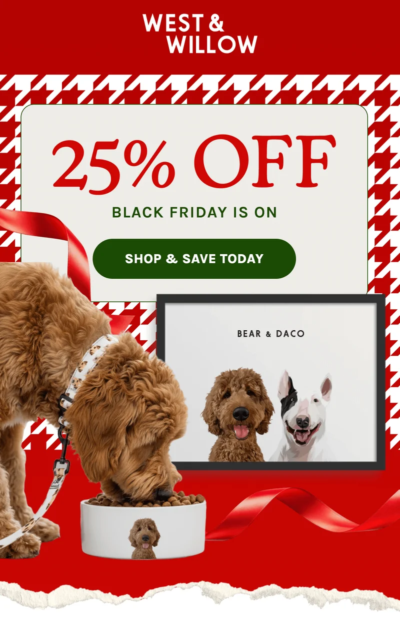 Shop & Save Today
