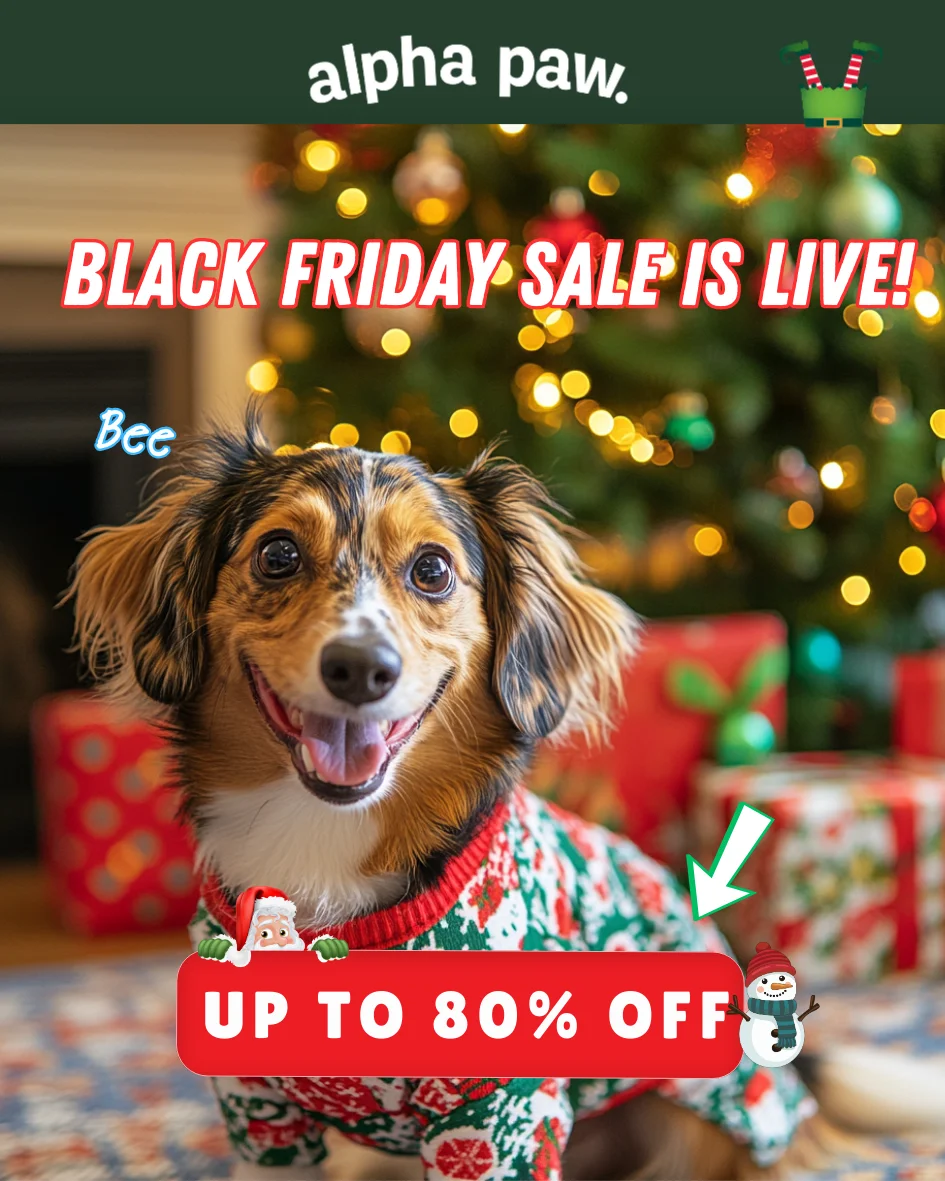 Pawlidays